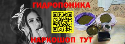 Альфа ПВП Кандалакша