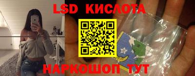 Альфа ПВП Кандалакша