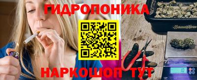 Альфа ПВП Кандалакша
