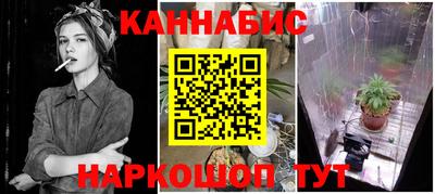 Альфа ПВП Кандалакша