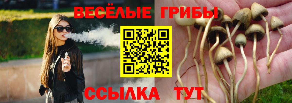 Комсомольск-на-Амуре  Галлюциногенные грибы GOLDEN TEACHER  Вход с VPN 
